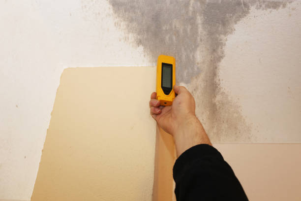  Independence, KS Mold Removal Pros