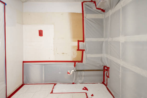 Best Residential Mold Inspection & Testing  in Independence, KS